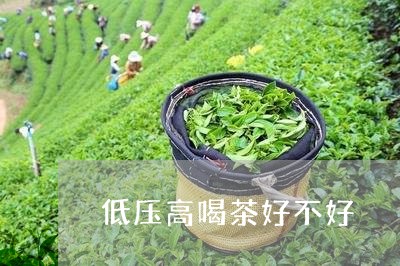 低压高喝茶好不好/2023032425169