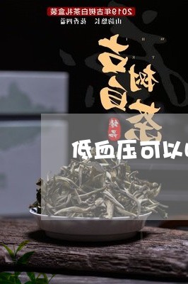 低血压可以喝茶吗/2023032517352