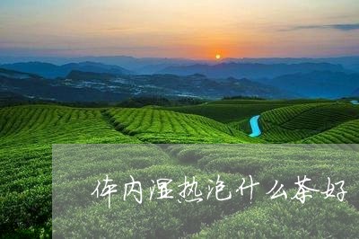 体内湿热泡什么茶好/2023041564248