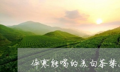 体寒能喝的美白茶禁忌人群/2023040119471