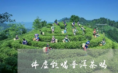 体虚能喝普洱茶吗/2023031762826