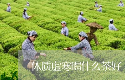 体质虚寒喝什么茶好/2023041557261