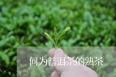 何为普洱茶的熟茶/2023041122617