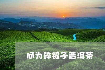 何为碎银子普洱茶/2023031738360