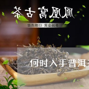 何时入手普洱茶呢/2023041034960