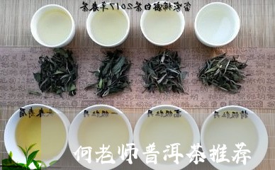 何老师普洱茶推荐/2023040969382