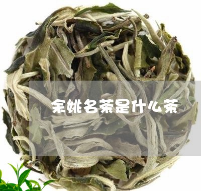 余姚名茶是什么茶/2023032530593