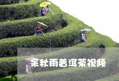 余秋雨普洱茶视频/2023041060614