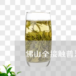 佛山全接触普洱茶/2023041202894