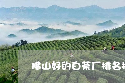 佛山好的白茶厂排名榜在哪/2023040196383