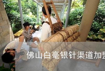 佛山白毫银针渠道加盟代理/2023040244059