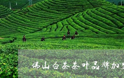 佛山白茶茶叶品牌加盟代理/2023040220602