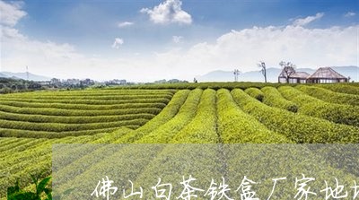 佛山白茶铁盒厂家地址查询/2023040122917