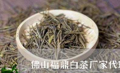 佛山福鼎白茶厂家代理电话/2023040106948