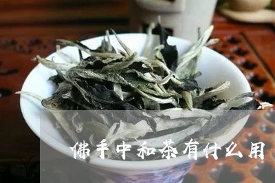 佛手中和茶有什么用/2023032029470