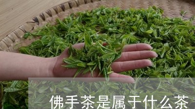 佛手茶是属于什么茶/2023041589505