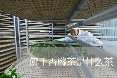 佛手香橼茶是什么茶/2023041542703