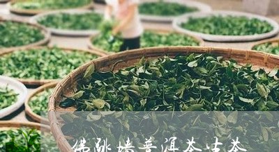 佛跳墙普洱茶生茶/2023041118261