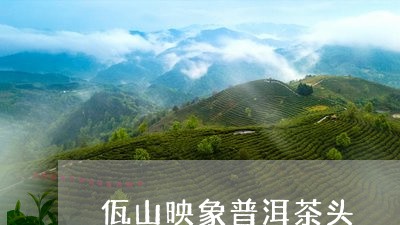 佤山映象普洱茶头/2023040149403