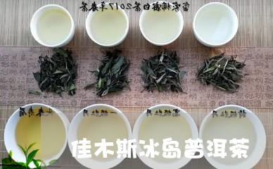 佳木斯冰岛普洱茶/2023031787372