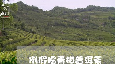 例假喝青柑普洱茶/2023041361038