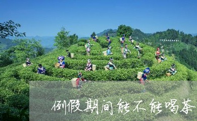 例假期间能不能喝茶/2023032015115