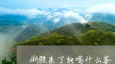 例假来了能喝什么茶/2023031949572