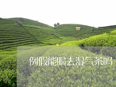 例假能喝去湿气茶吗/2023031860406