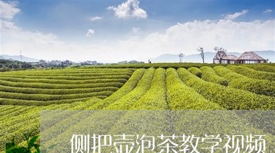 侧把壶泡茶教学视频/2023041627378