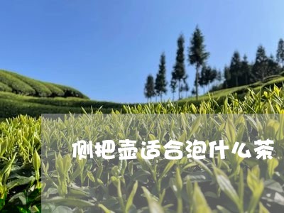 侧把壶适合泡什么茶/2023031957150