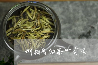 侧柏香的茶叶有吗/2023032635828