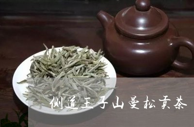 侧道王子山曼松贡茶/2023041521814