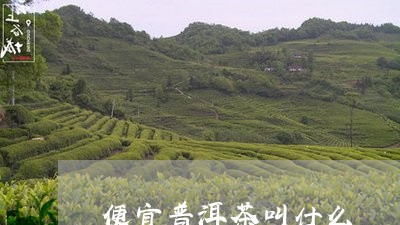 便宜普洱茶叫什么/2023041009704