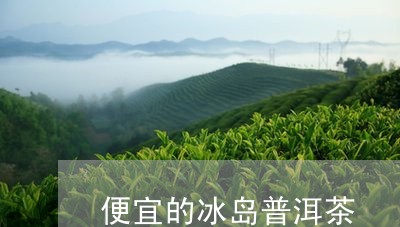 便宜的冰岛普洱茶/2023031700724