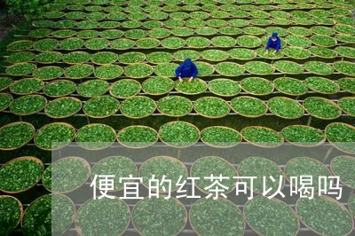 便宜的红茶可以喝吗/2023031943148