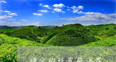 便宜的陈皮普洱茶/2023041007492