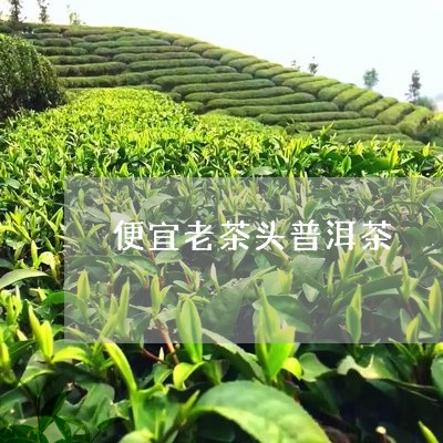 便宜老茶头普洱茶/2023031628261