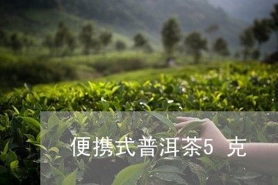 便携式普洱茶5克/2023033142815