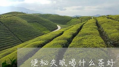 便秘失眠喝什么茶好/2023041561304