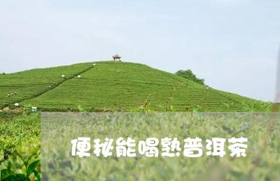 便秘能喝熟普洱茶/2023033187373