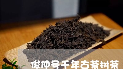 俊仲号千年古茶树茶/2023041685937