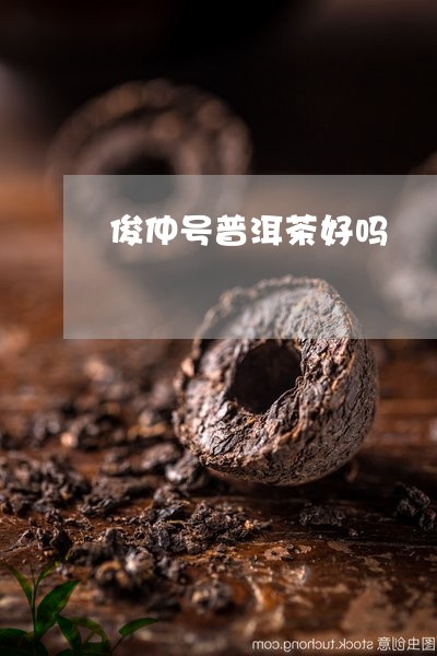 俊仲号普洱茶好吗/2023041292605