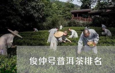 俊仲号普洱茶排名/2023031852604