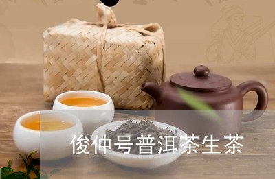 俊仲号普洱茶生茶/2023041458392