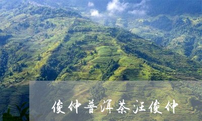 俊仲普洱茶汪俊仲/2023031770706