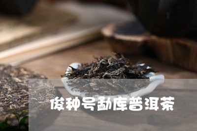 俊种号勐库普洱茶/2023033104836