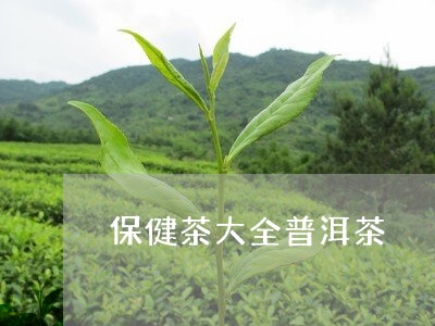 保健茶大全普洱茶/2023041133718