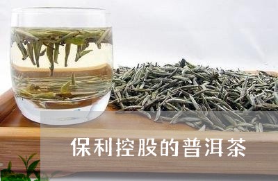 保利控股的普洱茶/2023041037489