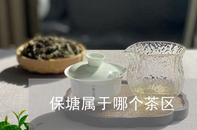 保塘属于哪个茶区/2023032554949