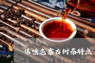 保塘老寨古树茶特点/2023032251603